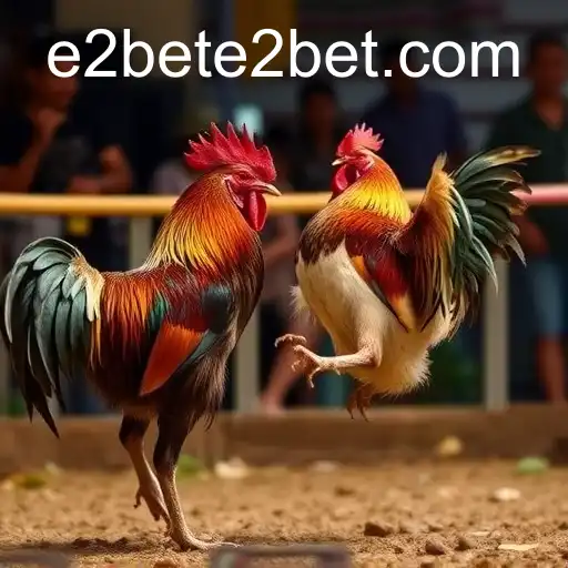 Security and Trust E2BET - International Licenses and Certifications